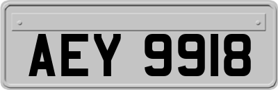 AEY9918