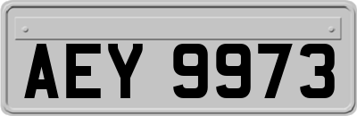 AEY9973