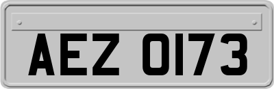 AEZ0173