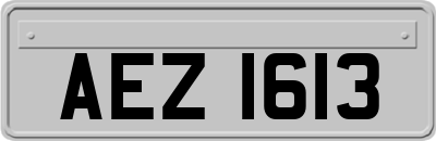 AEZ1613