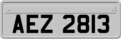 AEZ2813