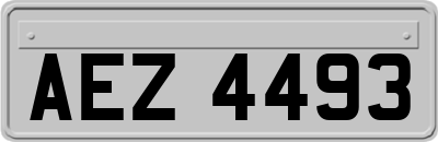 AEZ4493