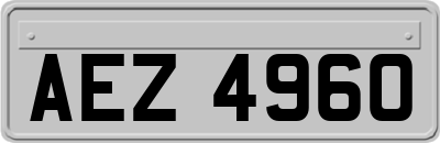 AEZ4960