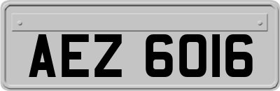 AEZ6016