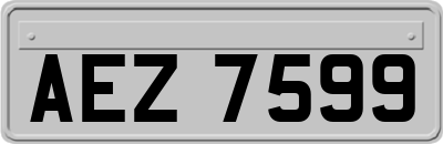AEZ7599