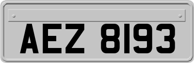 AEZ8193
