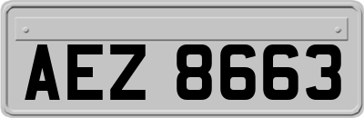 AEZ8663