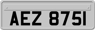AEZ8751