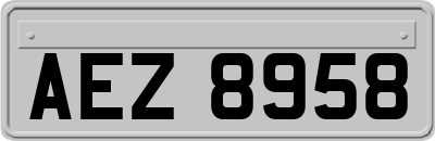 AEZ8958