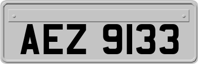 AEZ9133