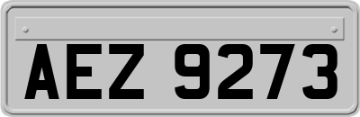 AEZ9273