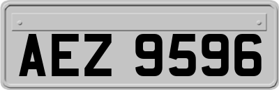 AEZ9596