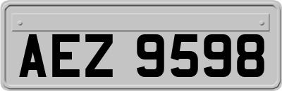 AEZ9598