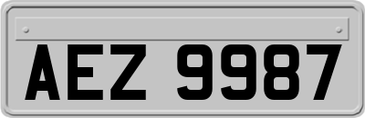 AEZ9987