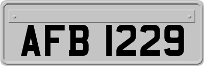 AFB1229