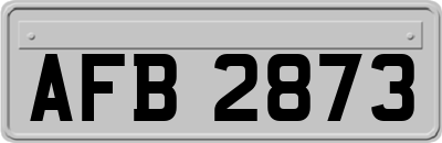 AFB2873