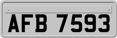 AFB7593