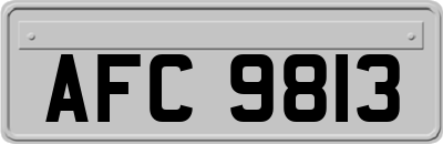 AFC9813