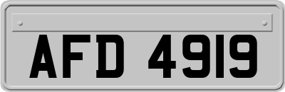 AFD4919
