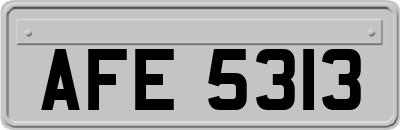 AFE5313