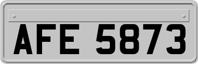 AFE5873