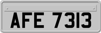 AFE7313