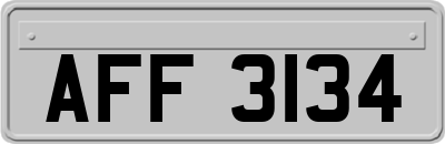 AFF3134