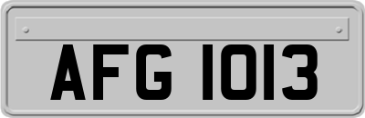 AFG1013