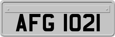 AFG1021