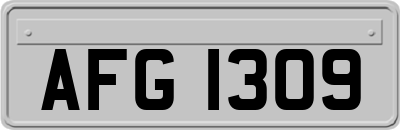 AFG1309