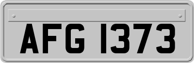 AFG1373
