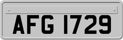 AFG1729