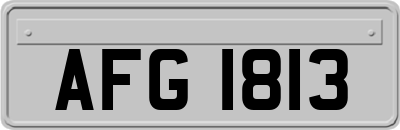 AFG1813