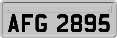AFG2895