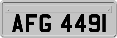 AFG4491
