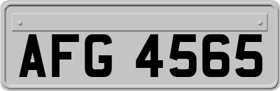 AFG4565