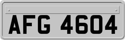 AFG4604