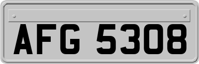 AFG5308