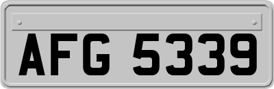 AFG5339