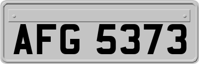 AFG5373