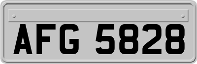 AFG5828