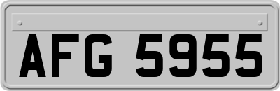 AFG5955