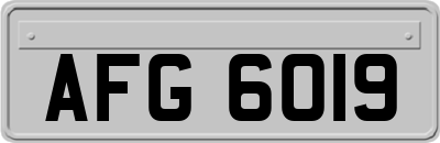 AFG6019