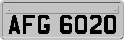 AFG6020