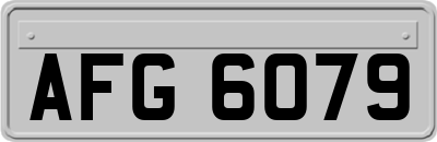 AFG6079