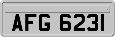 AFG6231