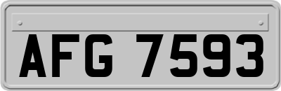 AFG7593