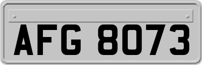 AFG8073