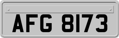AFG8173