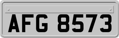 AFG8573